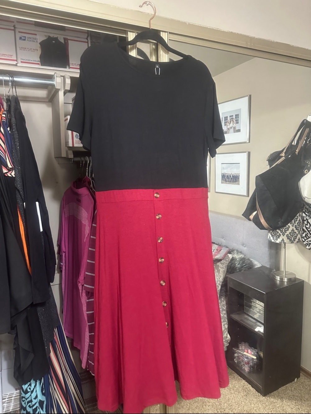 Black & Raspberry Button-Front Fit-and-Flare Dress